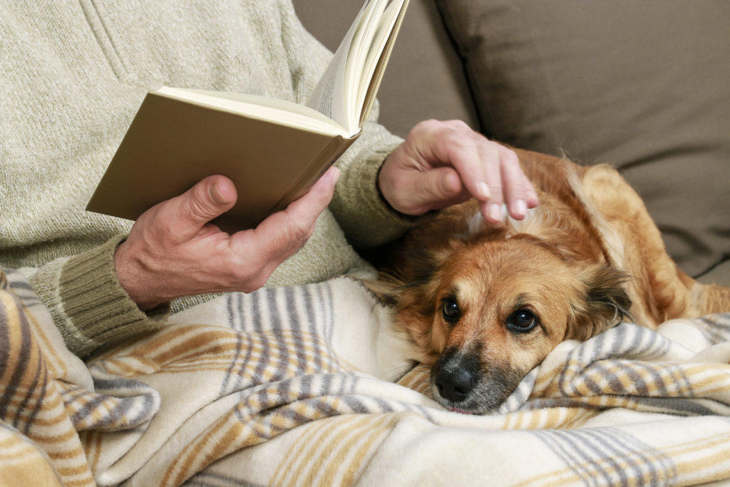 A resident reading her book with her dog resting on her lap as she pets its head and continues reading