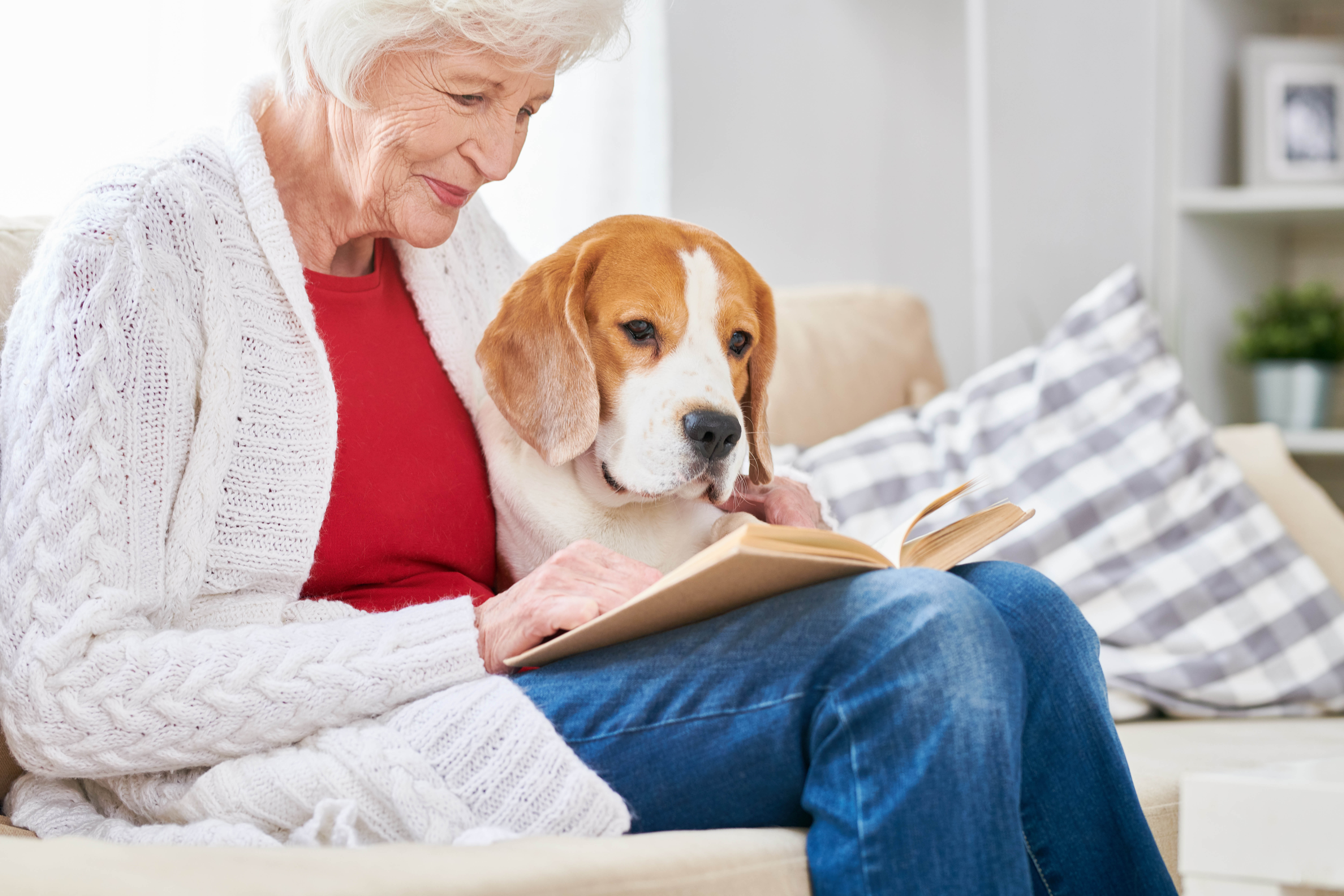 a woman reading as her dog sits on the couch next to her