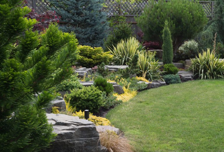 Naturally sculptured flat top rocks from northwest Oregon are placed in a beautifully landscaped backyard among a variety of perennial evergreens and shrubs.